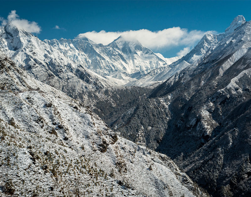 自动攻击网站工具下载